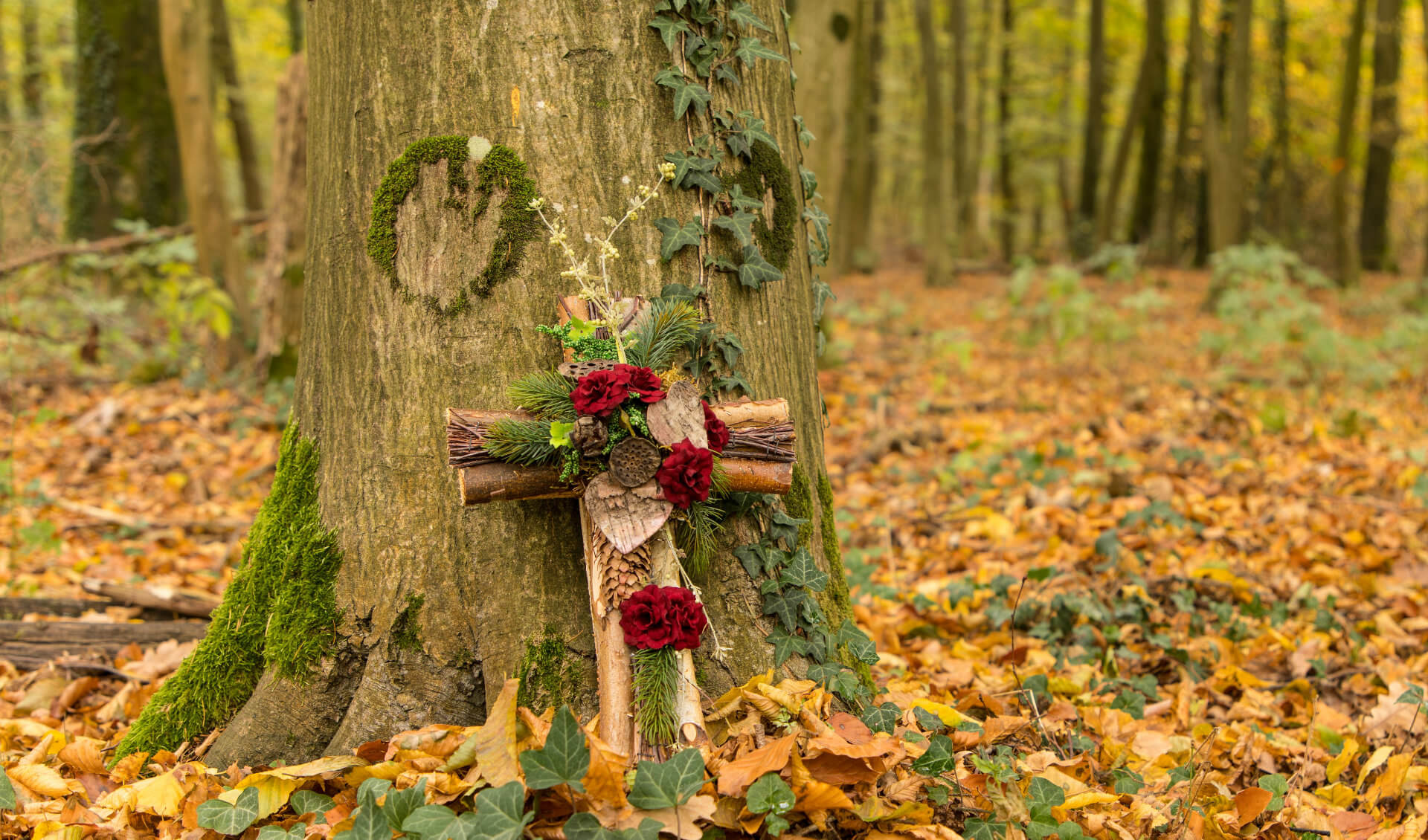 adobestock_230074663